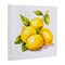 Stupell Industries Lemon Delights Fruit Wall Plaque Art Design by Andrea Haase